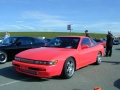 Georgia's metal flake shocking pink Sil80 - Best Girl's Award